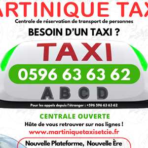 MARTINIQUE TAXIS, un taximan à Fort de France